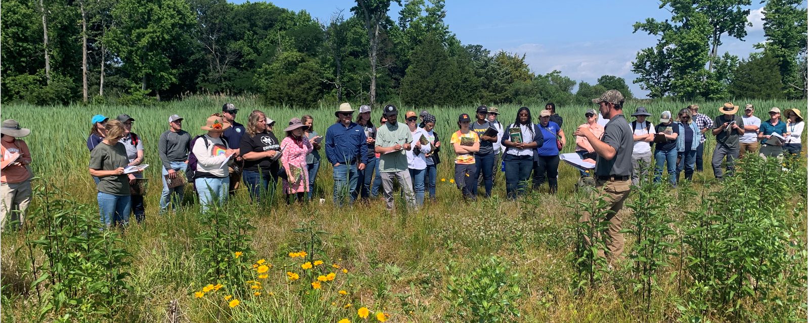 Field instruction in early successional habitat